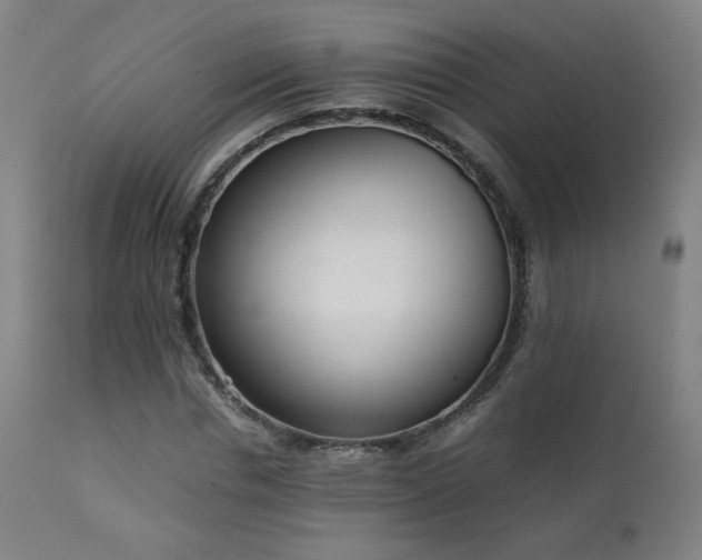 X0000111920826200907271246