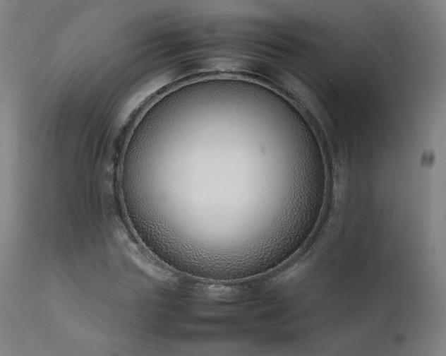 X0000111920827200907271246