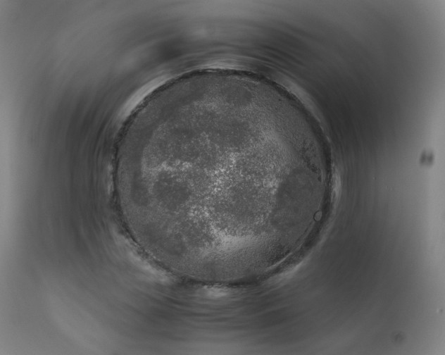 X0000111920829200907271246