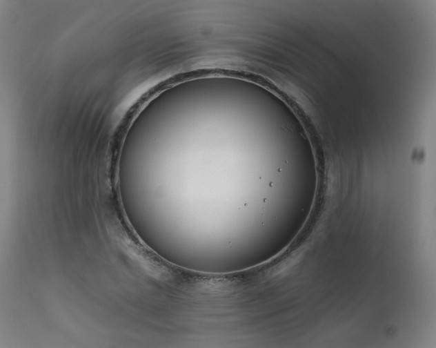X0000111920830200907271246