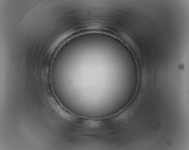 X0000111920831200907271247