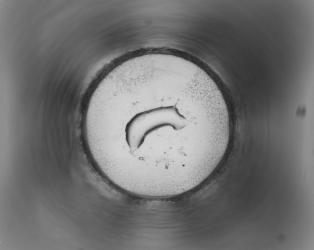 X0000111920832200907271247