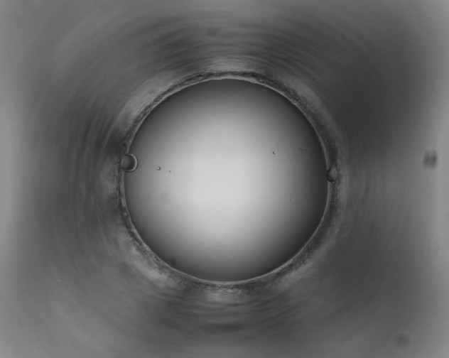 X0000111920833200907271247