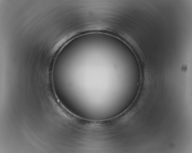 X0000111920834200907271247