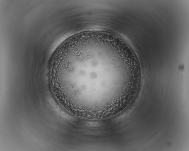 X0000111920835200907271247