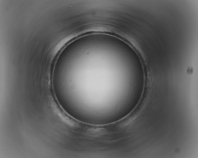 X0000111920837200907271247