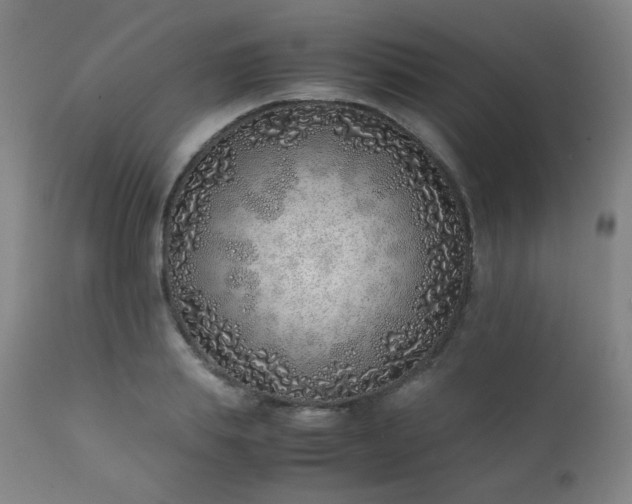 X0000111920839200907271247