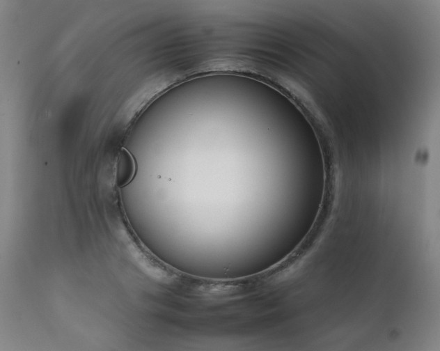 X0000111920841200907271247