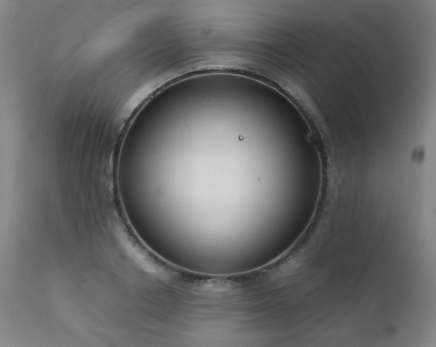 X0000111920842200907271247