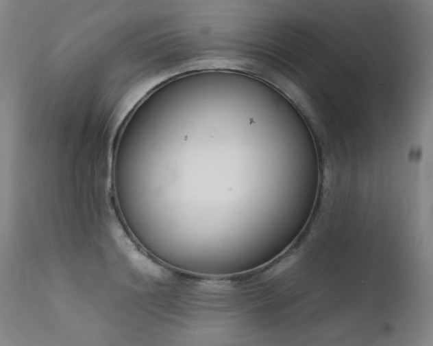 X0000111920844200907271247