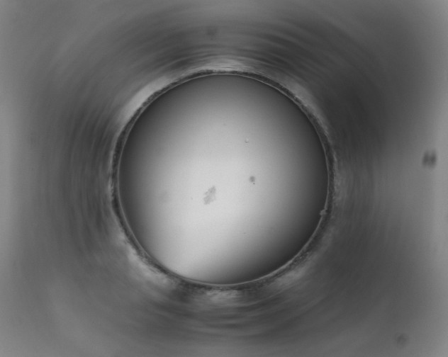 X0000111920845200907271247