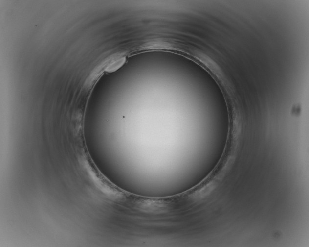 X0000111920849200907271247
