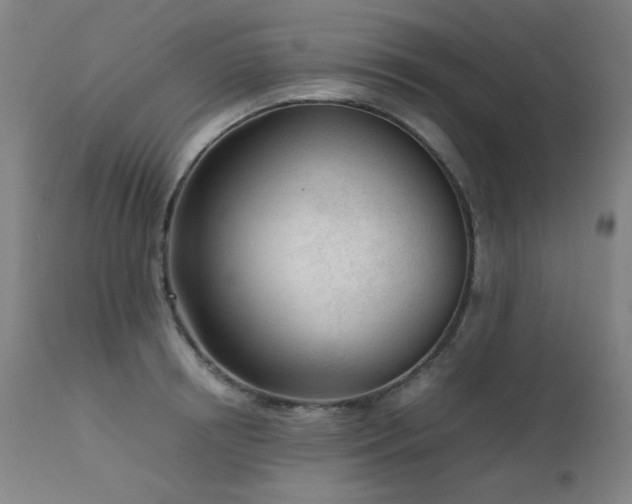 X0000111920850200907271247