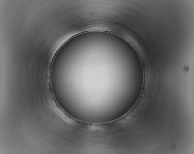 X0000111920852200907271247