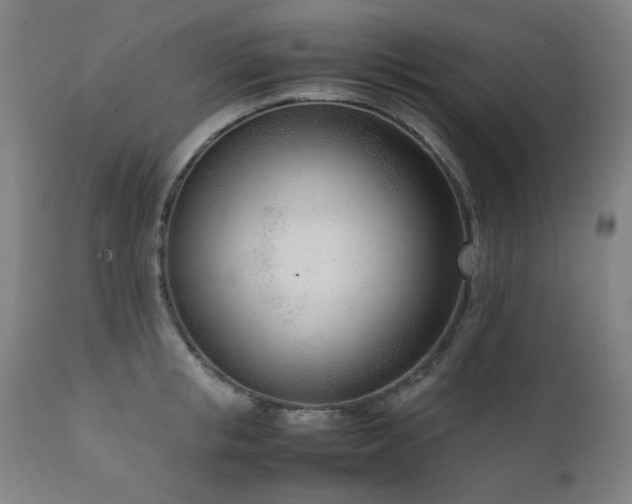 X0000111920853200907271247