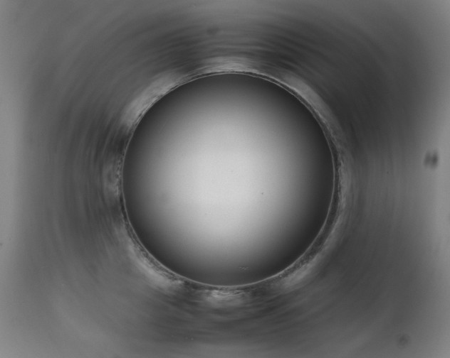 X0000111920857200907271247