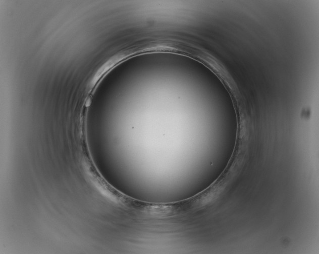 X0000111920858200907271247