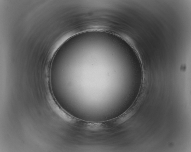 X0000111920859200907271247