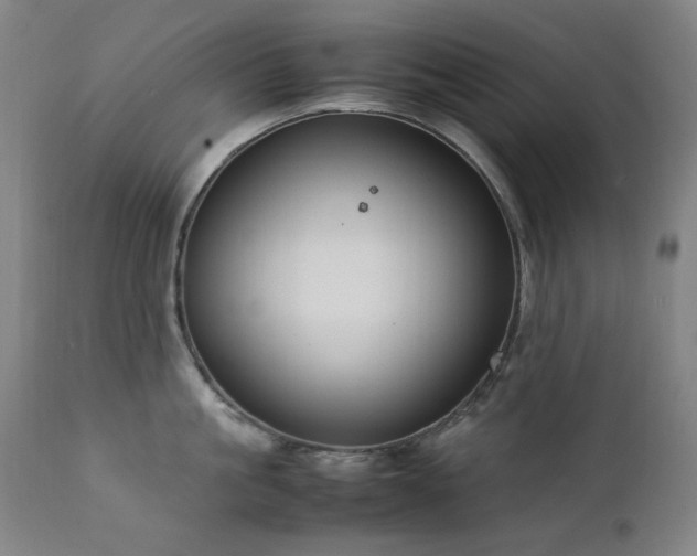 X0000111920861200907271247