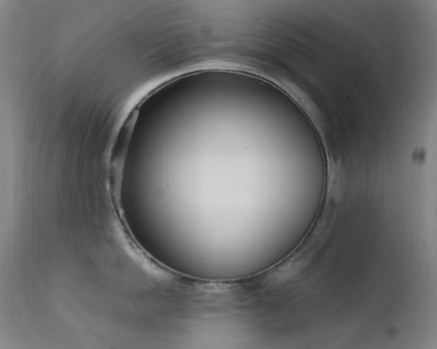 X0000111920862200907271247