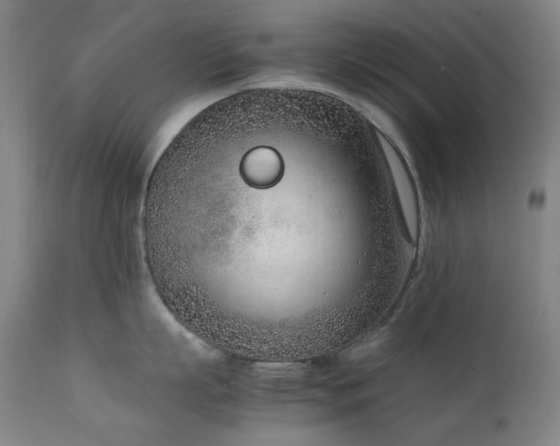 X0000111920863200907271247