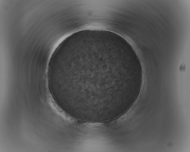 X0000111920864200907271247