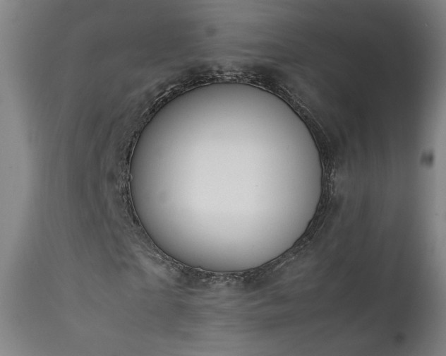 X0000111920865200907271246