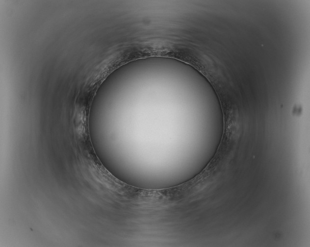 X0000111920866200907271246
