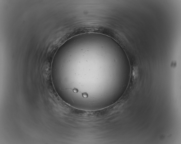 X0000111920867200907271246