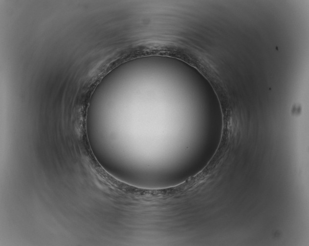 X0000111920868200907271246