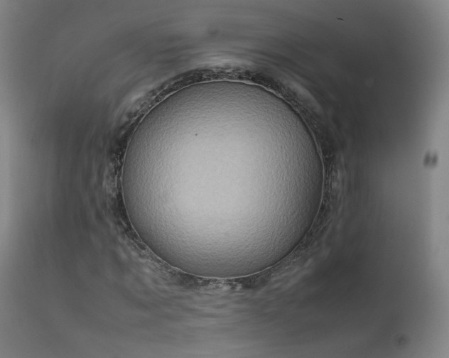 X0000111920869200907271246
