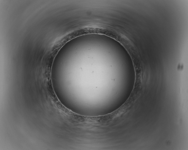 X0000111920870200907271246