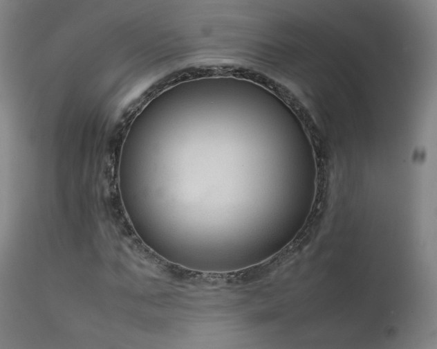 X0000111920871200907271246