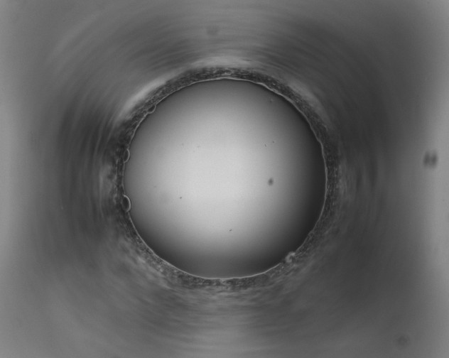 X0000111920872200907271246