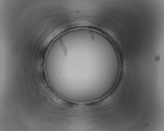 X0000111920873200907271246