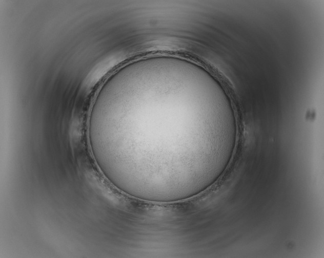 X0000111920874200907271246