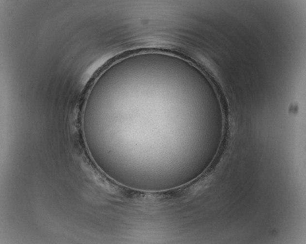 X0000111920875200907271246