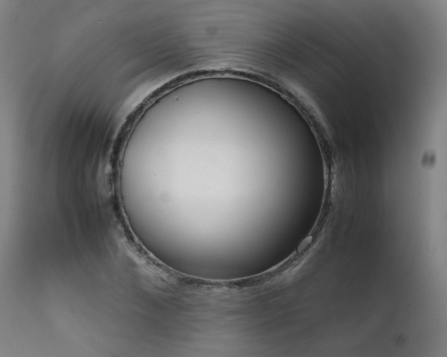 X0000111920876200907271246