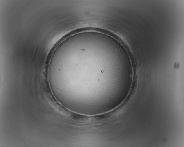 X0000111920879200907271246