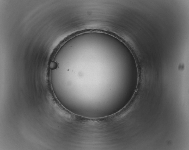 X0000111920880200907271246