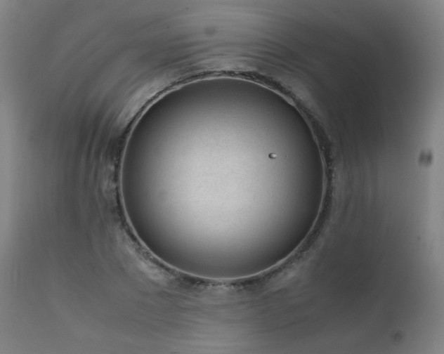 X0000111920881200907271246