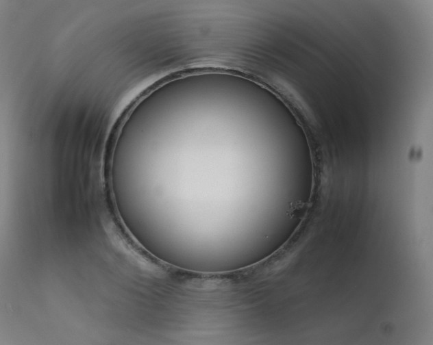 X0000111920884200907271246