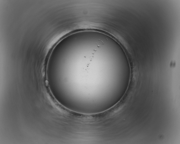 X0000111920885200907271246