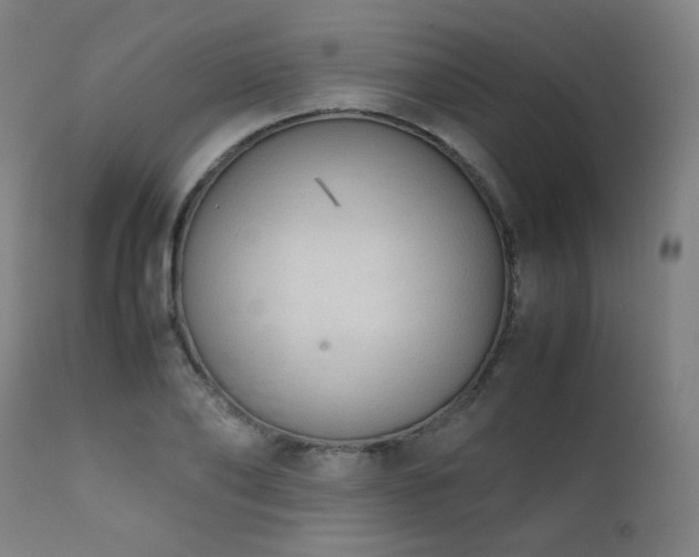 X0000111920886200907271246