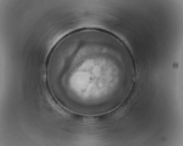 X0000111920887200907271246