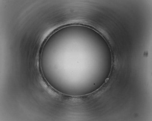X0000111920888200907271246