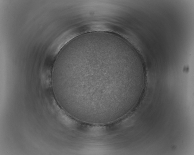X0000111920889200907271246