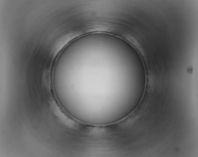 X0000111920890200907271246