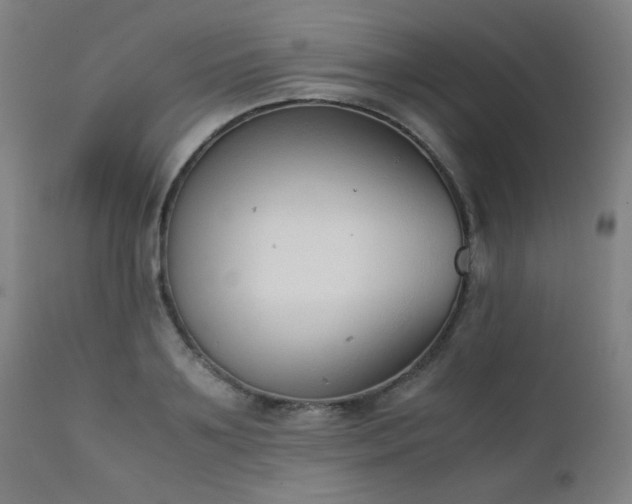 X0000111920891200907271246