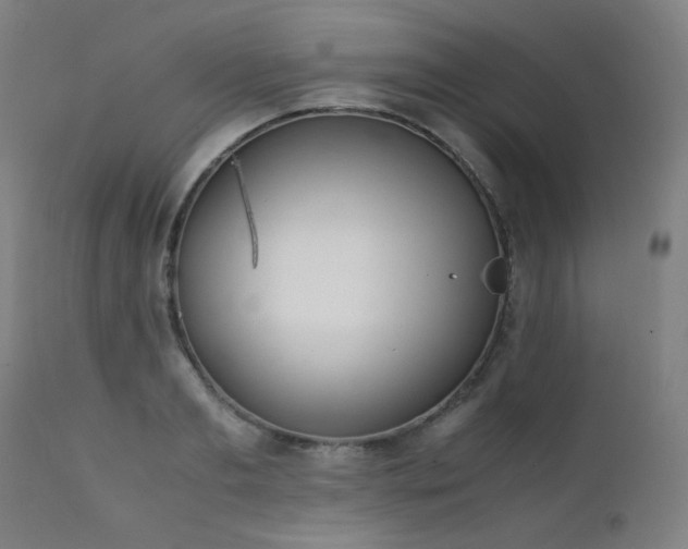 X0000111920893200907271246